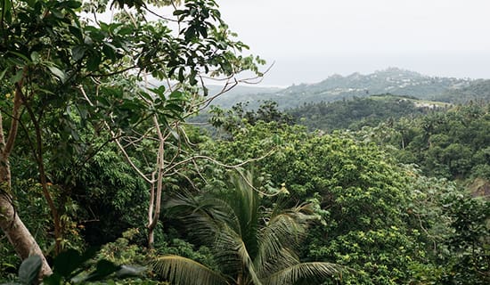 go as you please coco hill