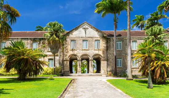 go as you please codrington 1