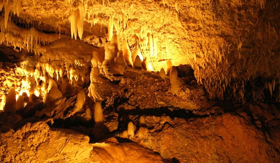 go as you please harrisons cave 1