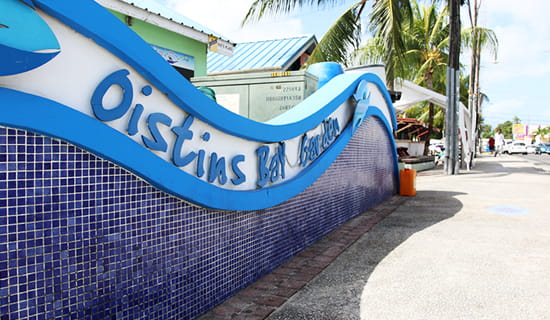 go as you please oistins 2