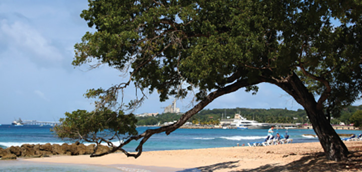 heywoods beach barbados pocket guide 1