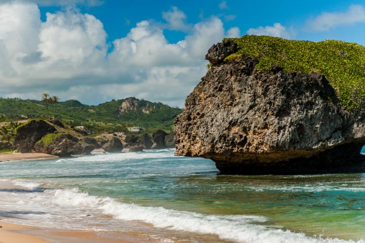 Bathsheba Sun Tours Barbados