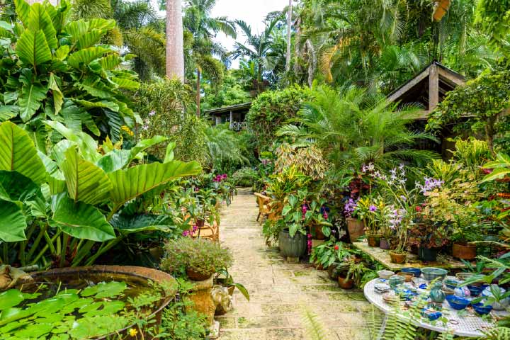 Sun Tours Flower Forest